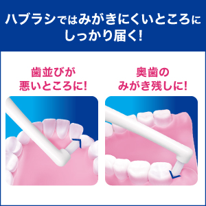 歯科医推奨の歯ブラシで磨きにくいところを集中ケア！