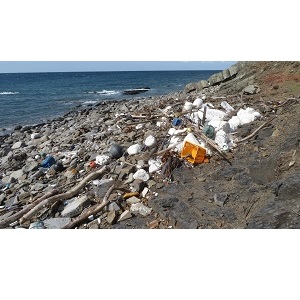 海洋ゴミ問題に貢献できる寄付金付きのデザインレジ袋が登場！