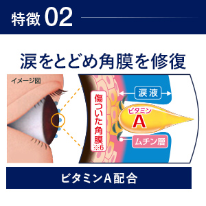 【特徴2】ビタミンAが涙をとどめ角膜を修復