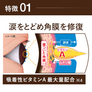 【特徴1】ビタミンAが涙をとどめ角膜を修復
