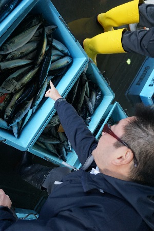 「毎日港に通って良質な魚を買い付けします」目利きによる確かな原料調達力