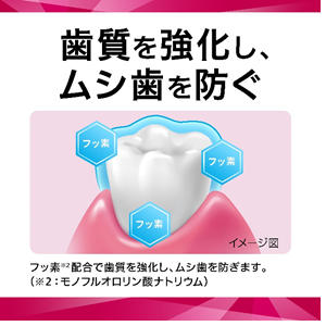 歯質を強化し、虫歯を予防 