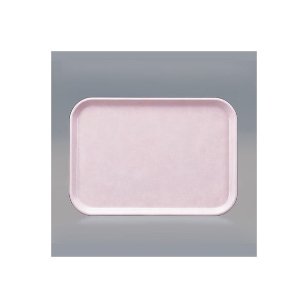 アスクル】 関東プラスチック工業 FRPトレー ピンク H4000 1セット（5枚入） （取寄品） 通販 - ASKUL（公式）