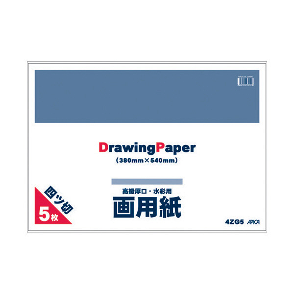 日本ノート　4つ切画用紙　5枚　4ZG5　（取寄品）