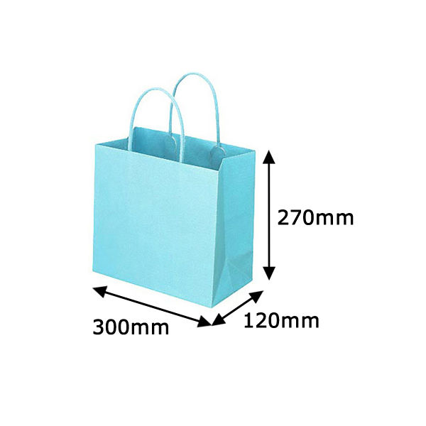 レザートーン手提袋　丸紐　アクアブルー　L　1箱（300枚：10枚入×30袋）　スーパーバッグ オリジナル