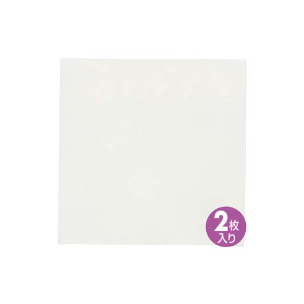 サンワサプライ 研磨紙0.5ミクロン ホワイト HKB-AC5-10（直送品
