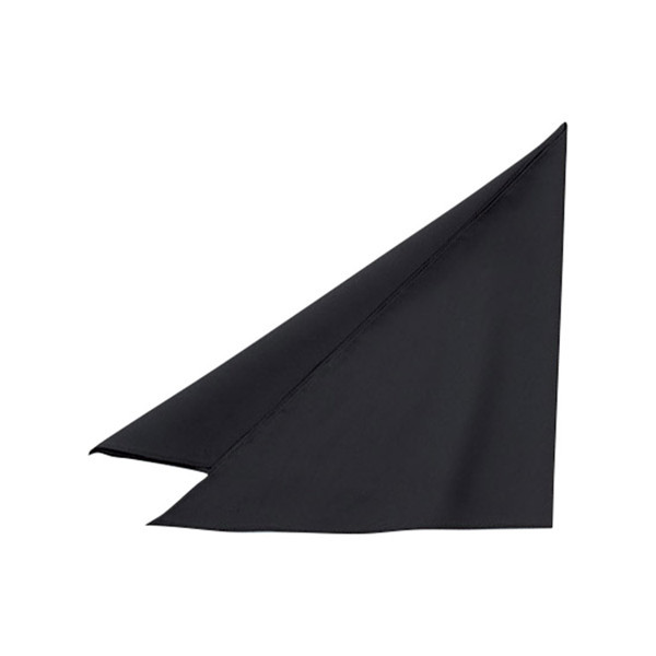 アスクル】 三角巾 フリー ブラック EA5356 1枚 サーヴォ（旧サンペックスイスト）（直送品） 通販 - ASKUL（公式）