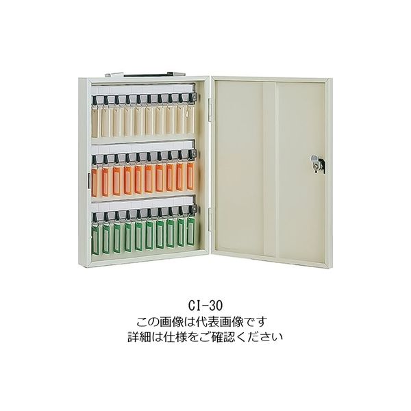 杉田エース エースキーボックス CI-30 161014 1台（30枚）（直送品）