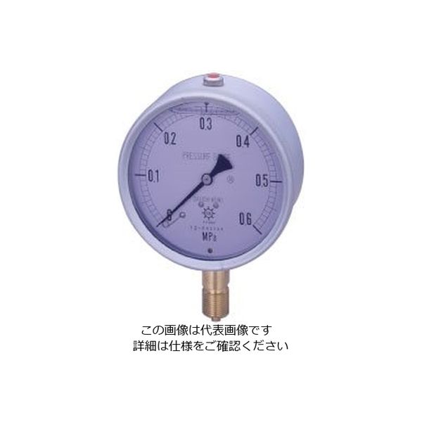 第一計器製作所 GRKグリセリン入圧力計 G-AU1/2-100:0.7MPA 1個（直送品）
