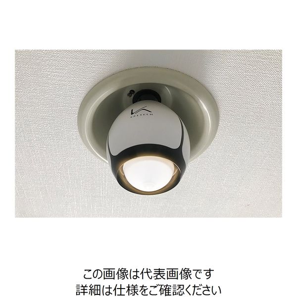 カルテック ターンド・ケイ光触媒除菌脱臭機 LED電球タイプ（電球色） KL-B01 1個（直送品）