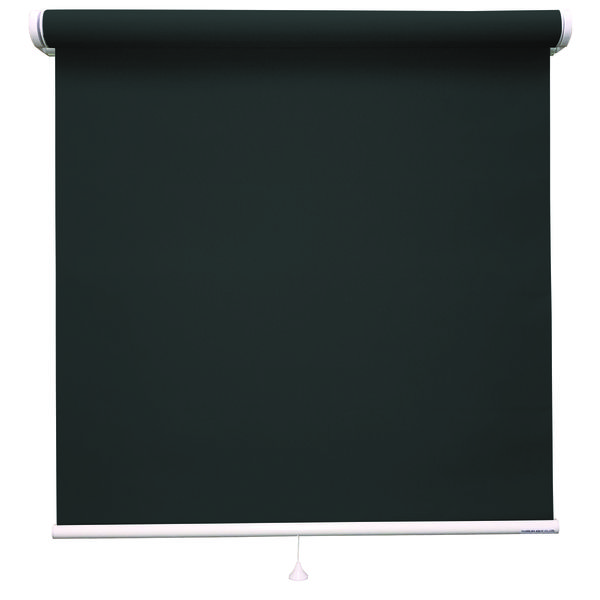 立川機工 ロールスクリーン 無地洗える 驚きの値段で TR-1517 正規店仕入れの 直送品 190×210cm 1台 Ｍブラック