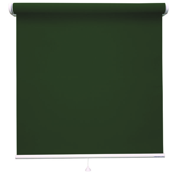 豪華 立川機工 FIRSTAGE ファーステージ ロールスクリーン 洗える 1台 850×1900mm 直送品 千歳緑色 TR-5177 人気が高い