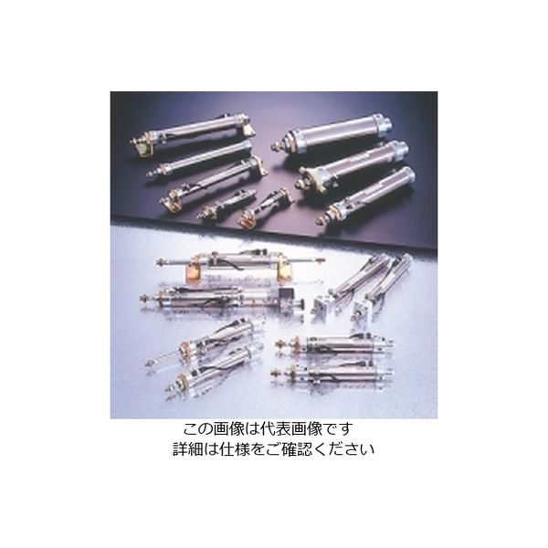 TAIYO 最適な材料 商い タイヨー エアーシリンダ 直送品 1個 10Z-3FP50B100-AG2