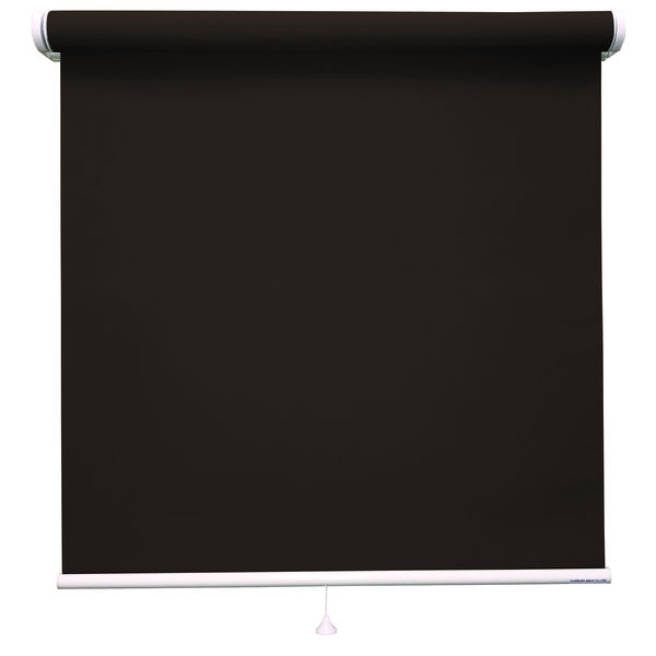 立川機工 ロールスクリーン遮光 TR-1109 35×30cm ネムロブラウン 1台