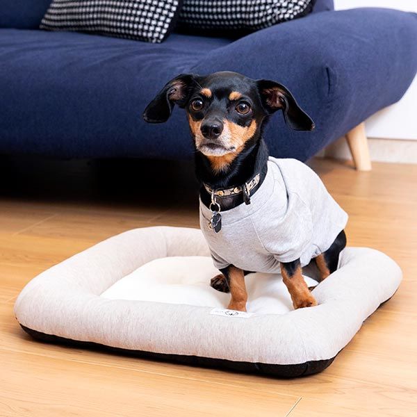 Lohaco ワゴンセール ロハコ限定 犬用ベッド 使いやすいフラットベッド オーガニックコットン100 染料 アールグレイ S おしゃれ ペット用