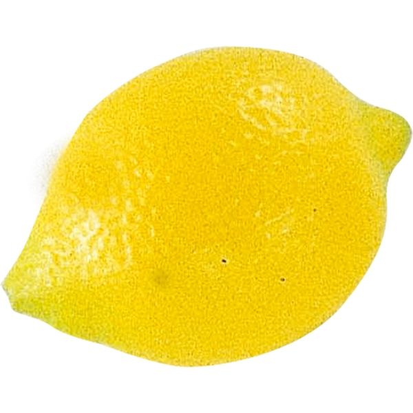 KMA 模型 レモン 超目玉枠 大人気! 4236536 5個入 直送品 1セット
