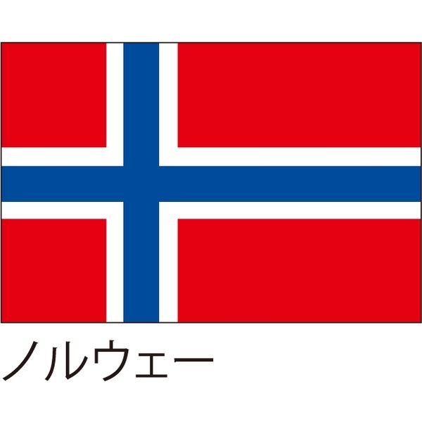 おすすめ特集 世界の国旗 服部 応援 装飾用旗 最新人気 ノルウェー 直送品 135×90cm 1枚 ポンジ