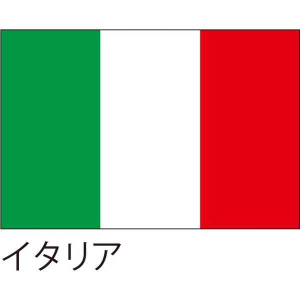 アスクル 世界の国旗 服部 応援 装飾用旗 イタリア 135 90cm ポンジ 1枚 直送品 通販 Askul 公式