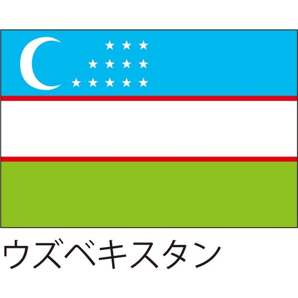 Lohaco 世界の国旗 服部 応援 装飾用旗 ウズベキスタン 105 70cm ポンジ 1枚 直送品