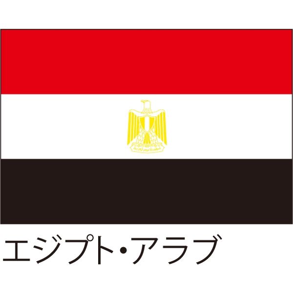 【世界の国旗】服部 応援・装飾用旗 エジプト・アラブ 105×70cm ポンジ 1枚（直送品）