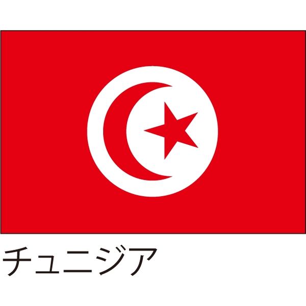 アスクル】 【世界の国旗】服部 応援・装飾用旗 チュニジア 105×70cm ポンジ 1枚（直送品） 通販 - ASKUL（公式）