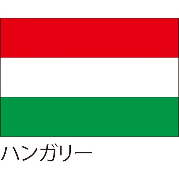 【世界の国旗】服部 応援・装飾用旗 ハンガリー 135×90cm ポンジ 1枚（直送品）