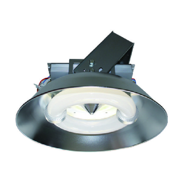 天草池田電機 ELI 高級品市場 期間限定特価品 Lamp PL-564A-CC200W-A 屋内用 直送品 160-9197 003453 1台