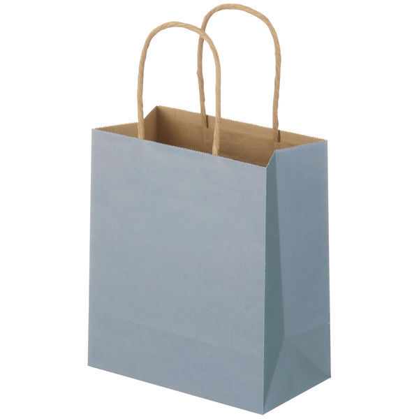 【紙袋】丸紐 ニュアンスカラー手提げ紙袋／スーパーバッグのサムネイル