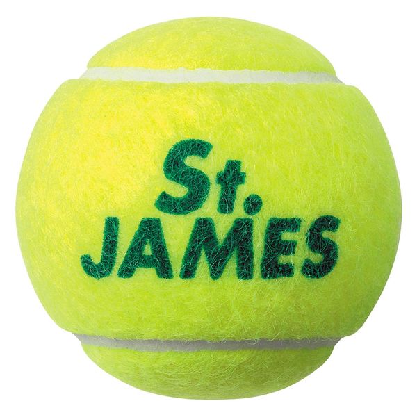 DUNLOP(ダンロップ) テニスボール St.JAMES セント・ジェームス 4球×15缶（合計60球） STJJCS60（直送品）
