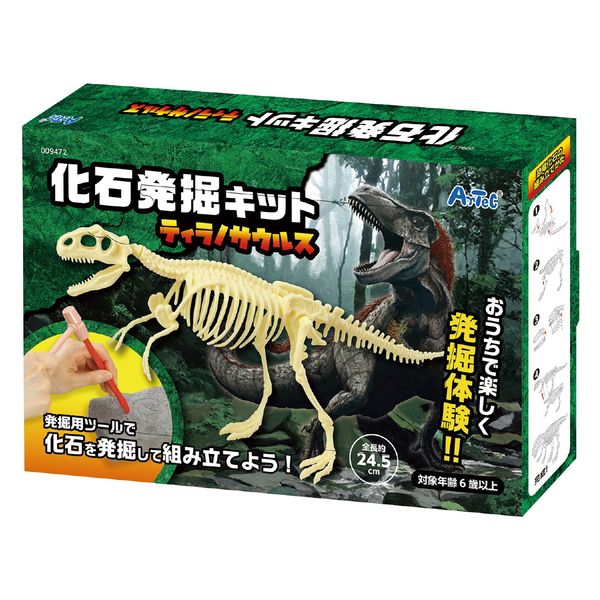 恐竜発掘キット - 模型