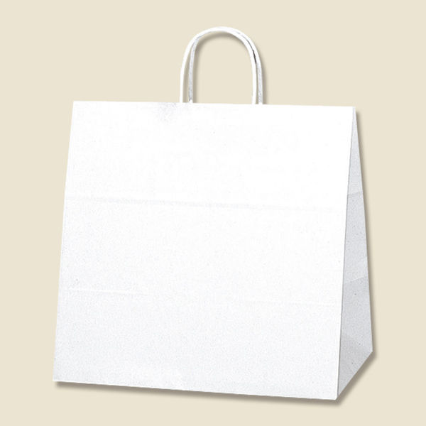 アスクル】【ケース販売】HEIKO 紙袋 25チャームバッグ 34-1 晒白無地 003269102 1ケース(50枚×4袋 合計200枚)（直送品）  通販 ASKUL（公式）