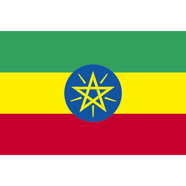 アスクル 東京製旗 エチオピア国旗 卓上旗16 24ｃm 1枚 直送品 通販 Askul 公式