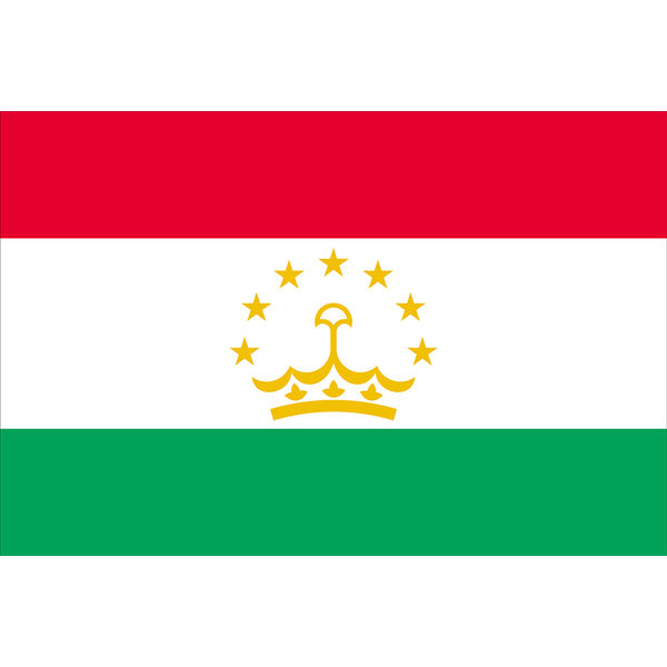 東京製旗 タジキスタン国旗（卓上旗16×24ｃm) 406405 1枚（直送品