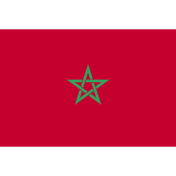 アスクル】 東京製旗 モロッコ国旗（卓上旗16×24ｃm) 406786 1枚（直送 