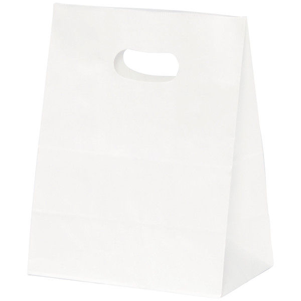 パックタケヤマ手提げ紙袋　イーグリップ　白無地　M　1箱（500枚入：50枚入×10袋）