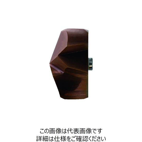 三菱 刃先交換式STAW形ドリル用鋳鉄専用インサート 正規通販 PVDコーティング 663-9976 上等 直送品 DP5010