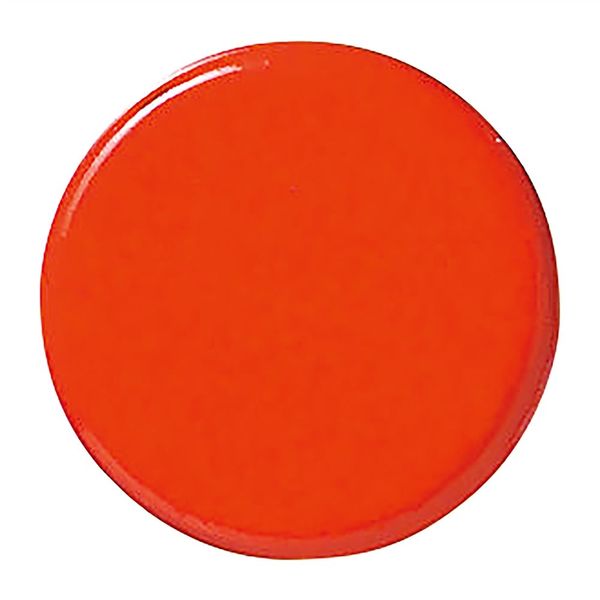 アスクル】 日本緑十字社 強磁力カラーマグネット（ボタン型） 赤 WMG-461R 18Φ×9mm 3個組 両面磁力 315014 1組（3個）（直送品）  通販 - ASKUL（公式）