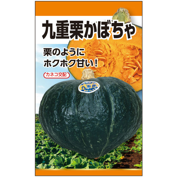 最大60%OFFクーポン 野菜のおたやり かぼちゃ 5袋セット