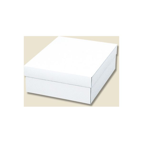 シモジマ 白無地箱 カバン箱 A 006818600 1セット（10枚入×5）（直送品）