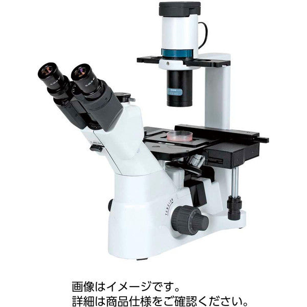 アスクル】 ケニス 倒立位相差顕微鏡 XD30-PH4 31490114（直送品） 通販 - ASKUL（公式）