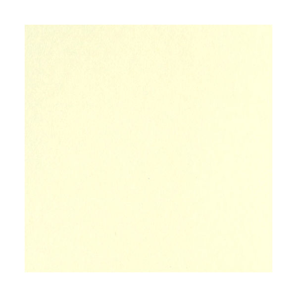 ビタミンカラーのハーモニー (お得セット×20) リンテック 色画用紙/工作用紙 (八つ切り 100枚) 薄クリーム NC1128 通販 