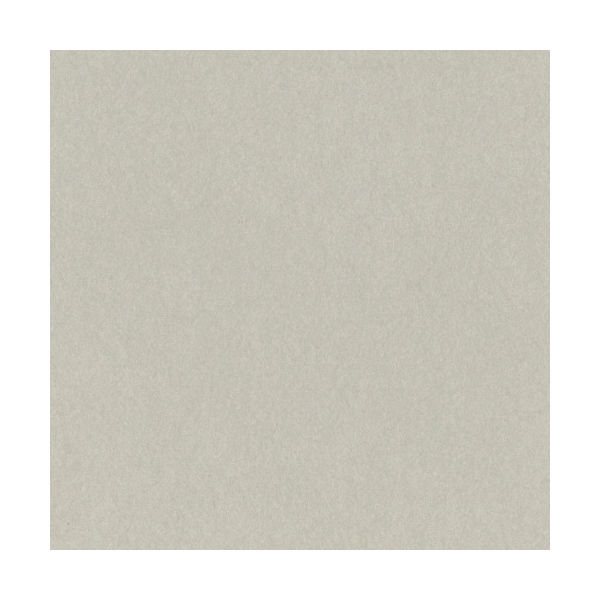 【アスクル】リンテック 色画用紙 8ツ切 100枚 明るい灰色 NC113-8（直送品） 通販 - ASKUL（公式）