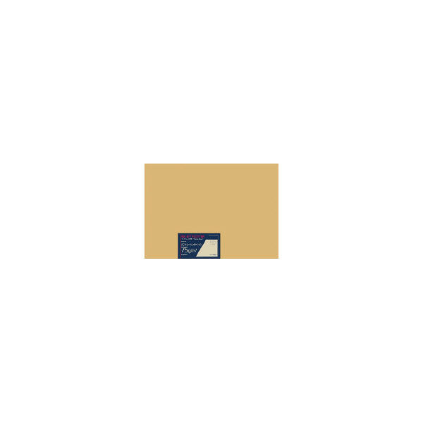 【アスクル】 コクヨ ロール紙 大判用紙 トレーシングペーパー A2 594×420mm セ-PIT77 1パック（100枚）（直送品） 通販