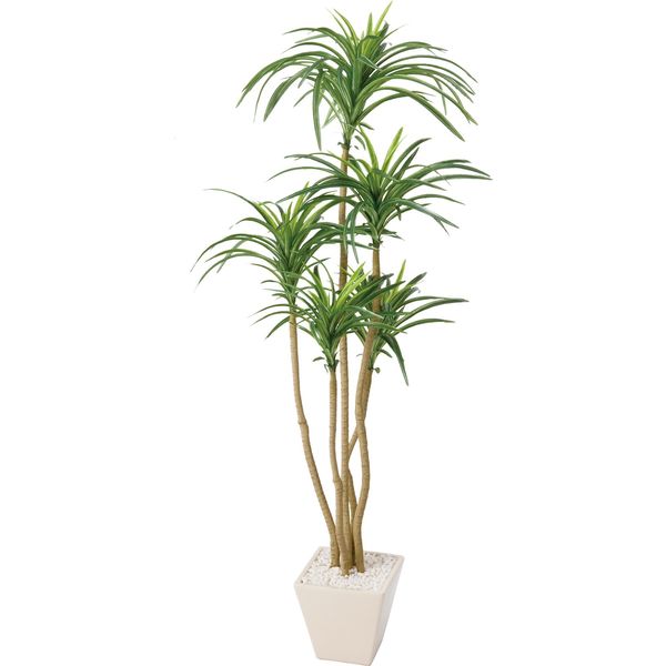 ポピー 人工樹木／人工観葉植物 ユッカ GLA-1198 グリーン 1鉢