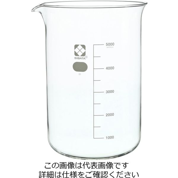 柴田科学 ビーカー 5L 1個 010020-5000（直送品）