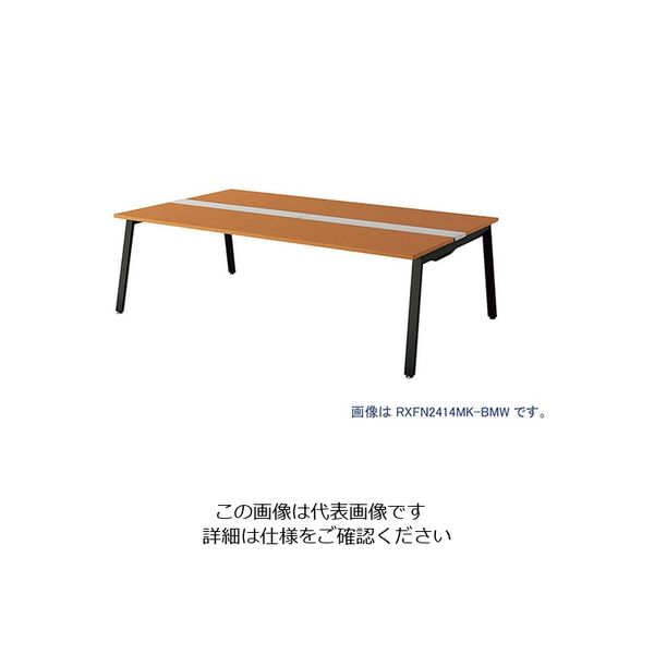 ナイキ 大型ベンチテーブル 日本産 大規模セール 基本型 両面タイプ 1台 209-1835 直送品 RXFN1614K-BMW