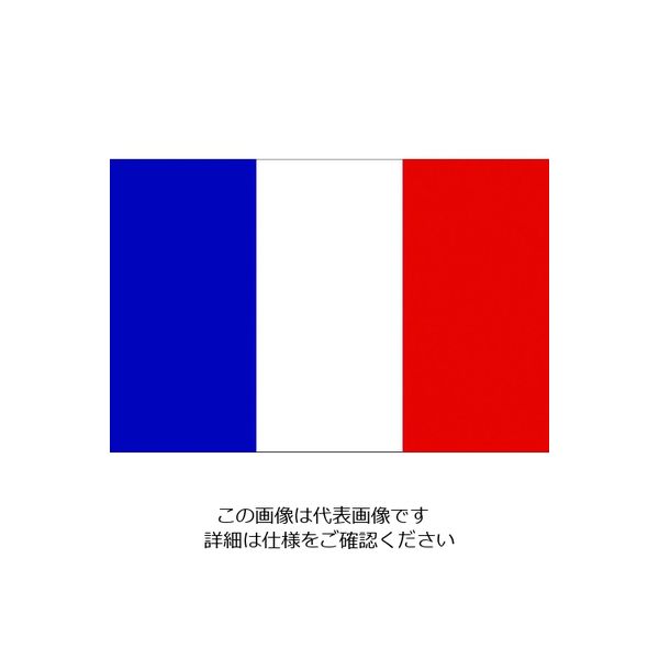 東京製旗（TOSPA） 東京製旗 国旗No.1（70×105cm） フランス 416647 1枚 207-3708（直送品）