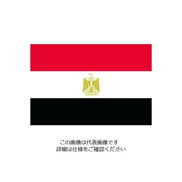 東京製旗（TOSPA） 東京製旗 国旗No.2（90×135cm） エジプト・アラブ