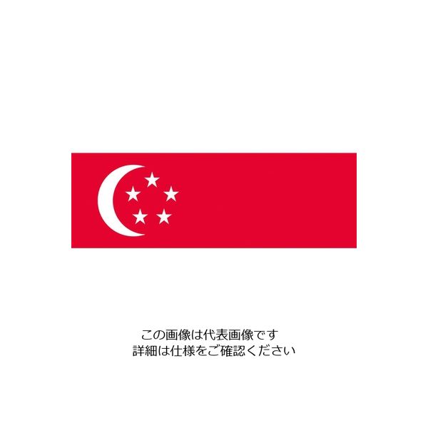 東京製旗（TOSPA） 東京製旗 国旗No.2（90×135cm） シンガポール