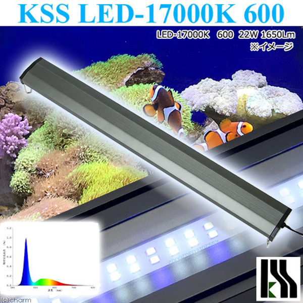アスクル】 KSS LED-17000K 600 60～75cm水槽用 ライト 熱帯魚 333078 1個（直送品） 通販 - ASKUL（公式）